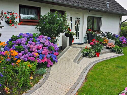 Foto - andere in Hattstedt