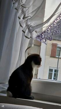 Foto - Einfamilienhaus zur Miete in Dortmund