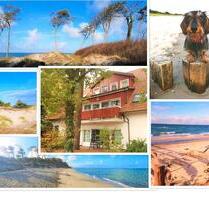 Ferienwohnung Fewo Prerow Hund erlaubt nah am Strand und Wald