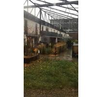 Moderne Wohnung in Toplage – Bamberg (Margaretendamm)