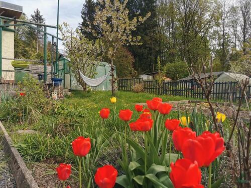 Foto - Grundst&uuml;ck zur Miete in Sonneberg