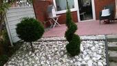 Foto - Doppelhaushälfte in Wilhelmshaven zum Kaufen