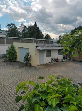 Foto - Einfamilienhaus in Neuhofen zum Kaufen