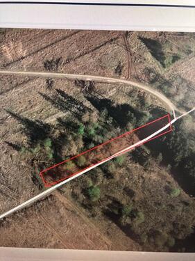 Foto - Nonnweiler Braunshausen 1.591 qm Freizeitgrundstück