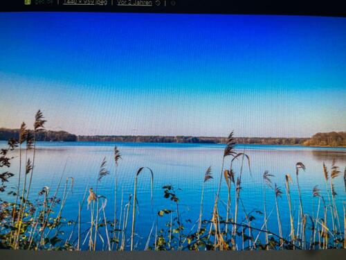 Foto - Grundstück am See tageweise eingezäunt, blickdichte Hecke