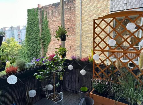 Foto - !ANFRAGESTOPP! Schöne 3-Raumwohnung in der südlichen Innenstadt