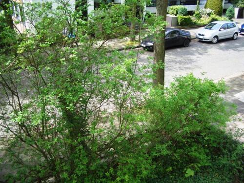 Foto - 1 Zimmer Etagenwohnung in Duisburg