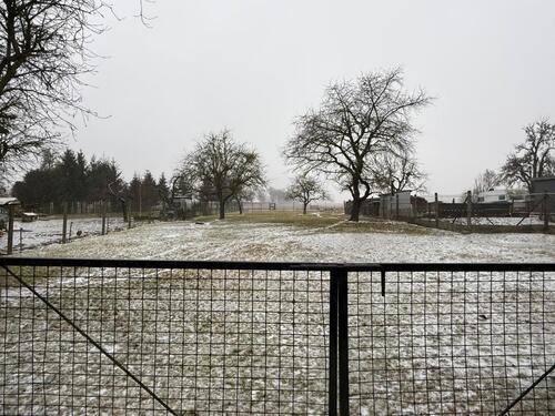 Foto - Einfamilienhaus in Casekow zum Kaufen