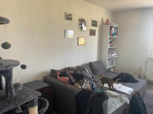 Foto - 2 Zimmer Etagenwohnung in Beeskow