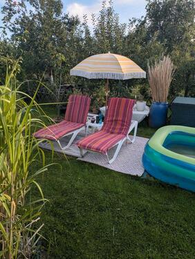 Foto - traumhafter, fast vollendeter Garten zum genießen bei Bentwisch