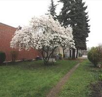 * NEST FÜR SINGLES MIT GARTENNUTZUNG! 2 ZI-DG Whg. in St. Tönis, Krefelder Str. * - Tönisvorst