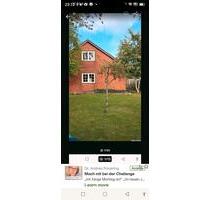 EFH mit vielen Möglichkeiten in Oster Ohrstedt - Husum