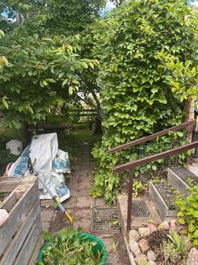 Foto - Einfamilienhaus in Papendorf zum Kaufen