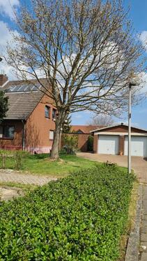 Foto - Mehrfamilienhaus, Wohnhaus zum Kaufen in Giesen