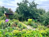 Foto - Pachtgarten, Garten - 1.500,00 EUR Kaltmiete, ca.  0,00 m²