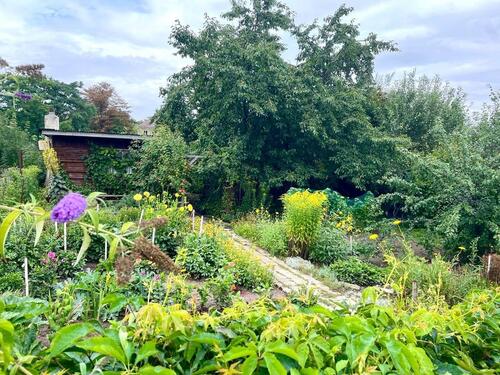 Foto - Pachtgarten, Garten - 1.500,00 EUR Kaltmiete, ca.  0,00 m²