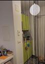 Foto - Etagenwohnung zur Miete in Berlin