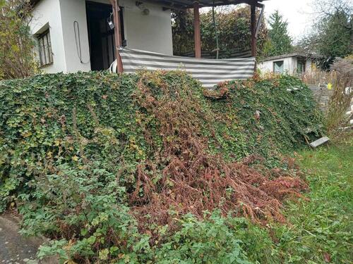 Foto - Grundstück in Frankfurt (Oder)