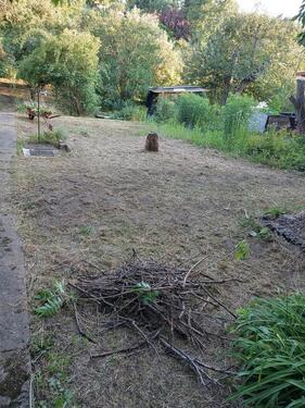 Foto - Grundstück in Frankfurt (Oder) zur Miete