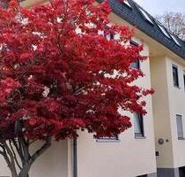 Schöne große 2 Zimmerwohnung in Münchberg zu vermieten