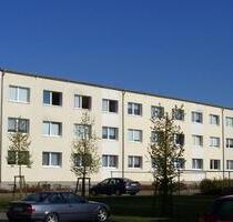 3 Raum Wohnung in Tribsees - 370,00 EUR Kaltmiete, in Tribsees (PLZ: 18465)