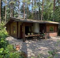 Blockhaus auf 4500 qm Waldgrundstück mit Pool in ThörenAller - Winsen (Aller)