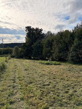 Foto - Einfamilienhaus in Herbertingen zur Miete