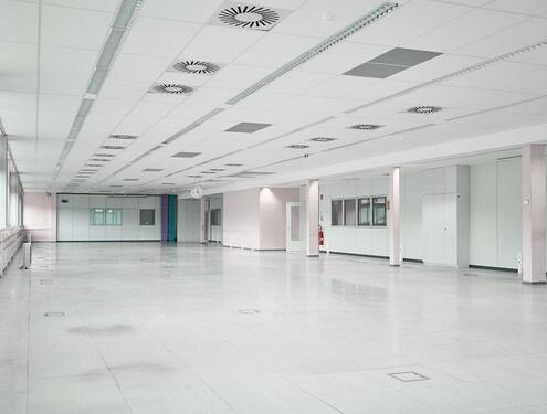 Foto - andere in Frickenhausen