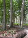 Foto - Grundstück in begehrter Lage nähe Julianenpark Sackgassenanlage