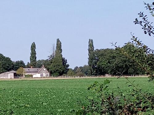 Foto - Einfamilienhaus in Hambergen
