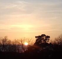 2-Zimmer Wohnung mit Balkon und Parkplatz zu verkaufen - Bad Bevensen