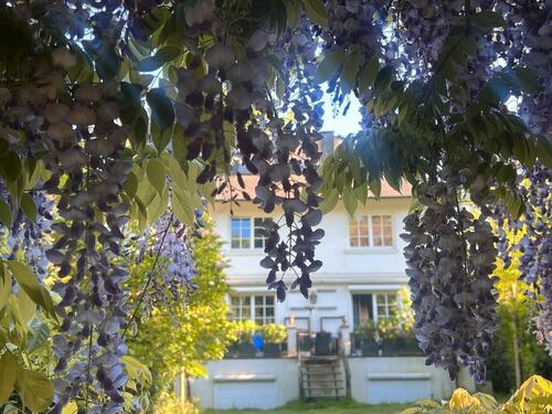 Foto - 2 Zi Gartengeschoss Whg in Villengegend von Groß Borstel