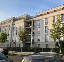 3 Raum Wohnung in Dresden-Südvorstadt zu vermieten