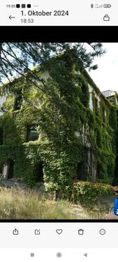 Foto - Einfamilienhaus zum Kaufen in Salzhemmendorf