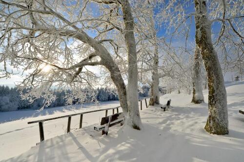 Foto - Winteurlaub, Ferienwohnung Bad Liebenstein Thüringer Wald