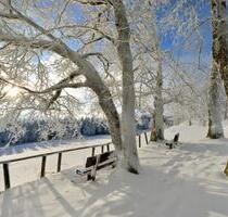 Winteurlaub, Ferienwohnung Bad Liebenstein Thüringer Wald