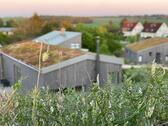 Foto - Einfamilienhaus in Gägelow