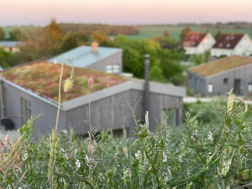 Foto - Einfamilienhaus in Gägelow