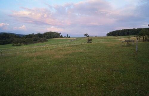 Foto - Einfamilienhaus in Langenhahn