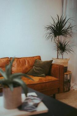 Foto - andere in Ulm zur Miete