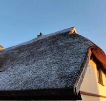 EinfamilienhausDoppelhaushälfte mit 1813qm Eigentumsgrundstück - Putbus