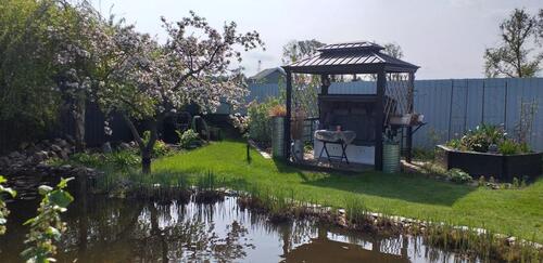 Foto - 5 Zimmer Einfamilienhaus in Torgelow