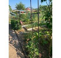 Pachtgarten in Uder - 4.000,00&nbsp;EUR Kaltmiete, ca.&nbsp; 0,00&nbsp;m&sup2; in Uder (PLZ: 37318)