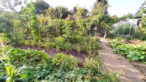 Foto - Kleingarten in Dresden Omsewitz - Gorbitz