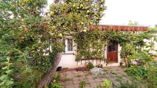 Foto - Grundst&uuml;ck in Dresden zur Miete