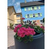 Kleines blaues Haeuschen am Rhein - Hannover Linden-Limmer