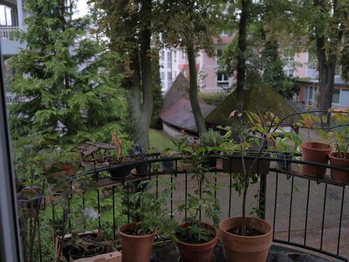Foto - Etagenwohnung in Berlin zur Miete