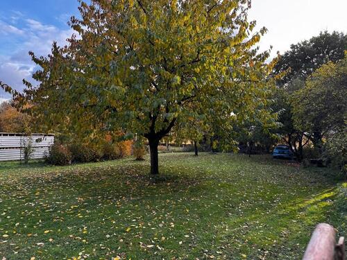 Foto - Charmantes Haus im Grünen – ideal für Handwerker & Selbstverwirkl
