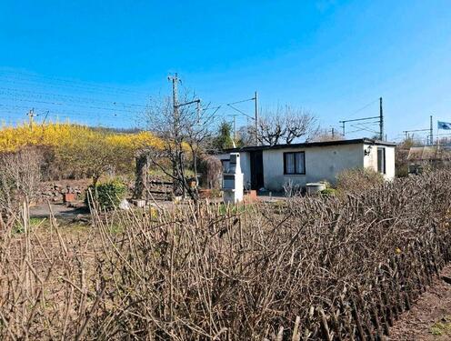 Foto - Grundst&uuml;ck zur Miete in Weinböhla