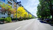 Foto - Etagenwohnung zur Miete in Düsseldorf
